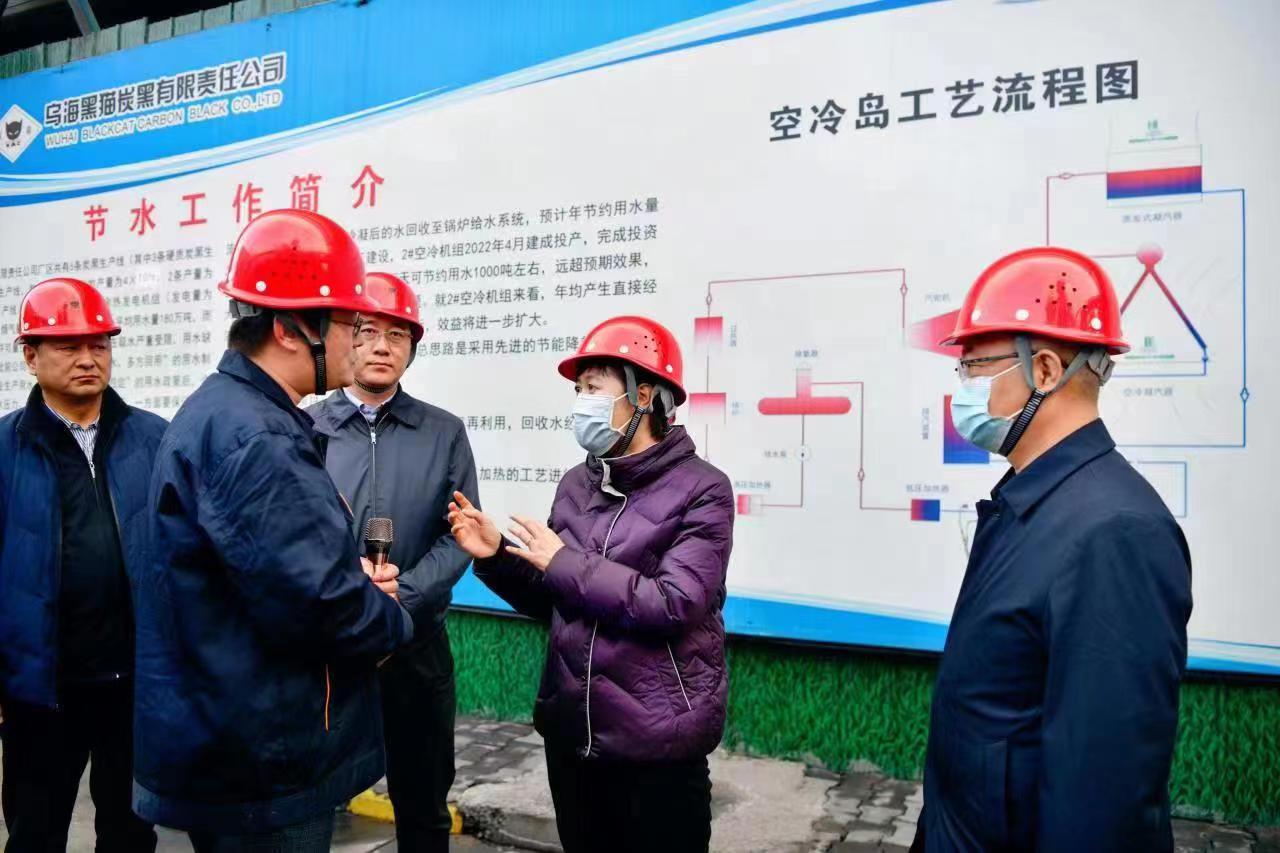 崔景英一行光临乌海HB火博调研领导 (1).jpg